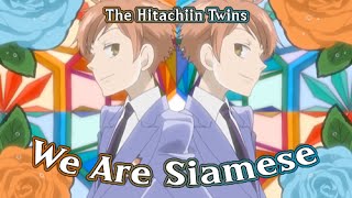 We Are Siamese  The Hitachiin Twins AMV [upl. by Sikata]