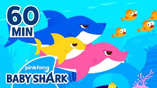 Baby Shark Doo Doo Doo 60 Min  Compilation  Baby Shark Remix  Baby Shark Official [upl. by Shulman683]