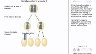 Chromosome Nondisjunction Animation [upl. by Hnirt]