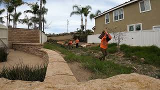 Remocion De Pinos En Camara Rapida  Carlsbad CA [upl. by Nepsa]