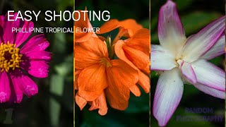 Tropical Flowers Photography PH  Part 1 [upl. by Haik]