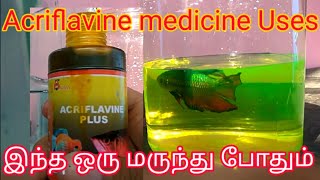 Acriflavine Medicine  Fish treatment  acriflavineAquriumUses FishMedicine [upl. by Tolecnal]