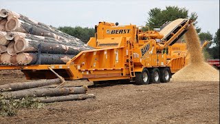 Fastest Monster Stump Removal Excavator  Amazing Wood Chipper Machines Working [upl. by Farmer121]