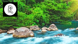 Relaxing Nature Sounds  Water Sound 24 Hours Gentle River amp Stream [upl. by Refeinnej]