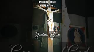 JESUS CHRIST YOU ARE MY LORD MY GOD 🙏 GOODNESS OF GOD shortsfeed jesus shortsvideo shorts [upl. by Kimberlee]