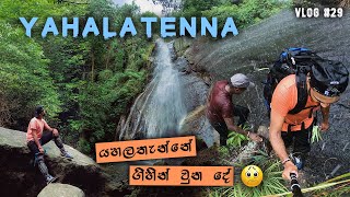 Yahalathenna falls  කැලේ මැද හුදෙකලා වුනු කෝමලිය  Bambarakanda falls  Secret Traveller  Vlog 29 [upl. by Voccola]