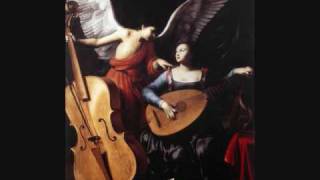 CPE Bach Cello Concerto in A Wq 172  2 Largo con sordini mesto [upl. by Aronas]