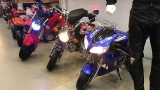 All kinds of Mini Sports bikes [upl. by Hally]