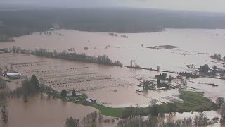 Aerial video shows major flooding in Lewis County Washington  FOX 13 Seattle [upl. by Wynne]