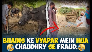 🐃Bhains Ke Vyapar Mein Hua Chaudhry Se Fraud [upl. by Uund]