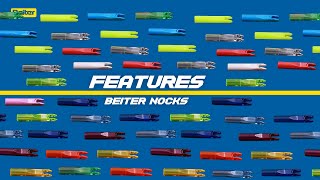 Features of Beiter Nocks you didnt know before [upl. by Eimmac]