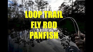 Loop trail fly rod panfishbonus Sambone phone incident [upl. by Arabella]