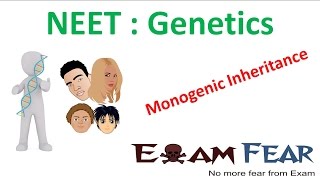 NEET Biology Genetics  Monogenic  Mendelian Inheritance [upl. by Ayerf]