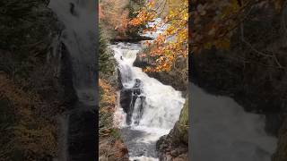 Reekie Linn Waterfall [upl. by Spevek738]