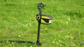 NEW  Scarecrow Motion Activated Sprinkler Test amp Review BEST Animal Deterrent [upl. by Bodwell408]