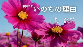 いのちの理由歌詞あり さだまさし♪ 癒し 尊い命 [upl. by Simmie]