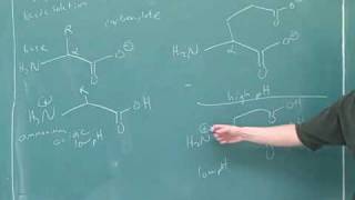 Organic chemistry Amino acids and peptides 2 [upl. by Aneeg930]