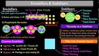 How Emulsifiers and Stabilizers Work [upl. by Kella971]