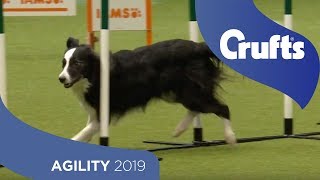 Agility Championship Round 2 – Agility  Large  Crufts 2019 [upl. by Sivaj]