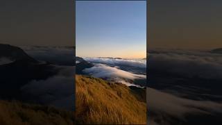 Mt Pulag offers a breathtaking adventure where trekkers can witness a stunning sea of clouds fyp [upl. by Idok]