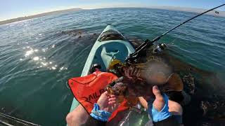 First Time Kayak Fishing for Rockfish [upl. by Rebmak]