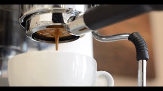 Lelit PL41TEM PID Espresso Machine 110V Review [upl. by Risan]