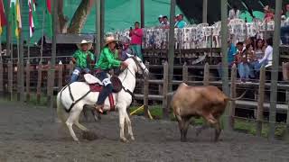 La tierra los animales y el hombre Vaquería criolla La Pintada Antioquia Enero 15 24 [upl. by Idonah467]