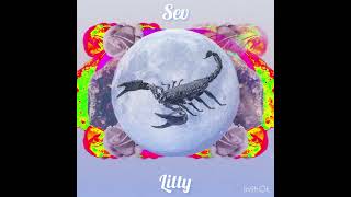 Sev Litty ScorpioMoneybagg Yo Remix [upl. by Almat289]