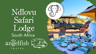 Ndlovu Safari Lodge Affordable Luxury in Big 5 Territory  South Africa Safari [upl. by Corydon]