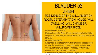 BLADDER 52 ZHISHI RESIDENCE OF THE WILL AMBITION ROOM DETERMINATION HOUSE WILL DWELLING [upl. by Darius]