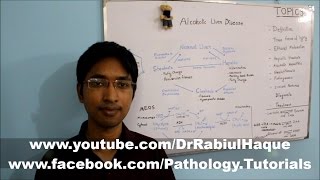 Alcoholic Liver Disease Part 1 HD [upl. by Ynej]