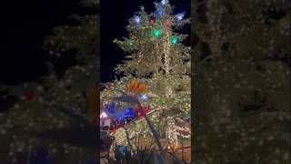 christmas fun california usa shortvideo рождество калифорния [upl. by Hashum]