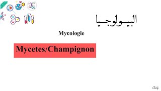 درس ميكولوجي  L3  Microbiologie Mycologie MycetesChampignon [upl. by Gomer]