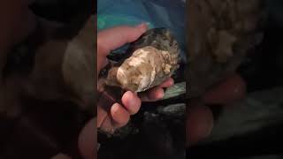 Local Oysters at Ceduna [upl. by Togram]