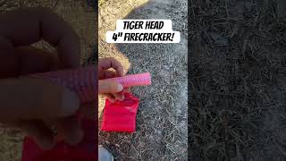 Tiger Head 4 Inch Firecracker DOT Class C firecracker banger fun [upl. by Manson150]