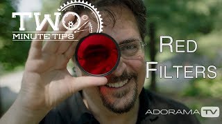 Red Filter Two Minute Tips with David Bergman [upl. by Taite617]