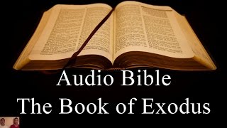 The Book of Exodus  NIV Audio Holy Bible  High Quality and Best Speed  Book 2 [upl. by Loree]