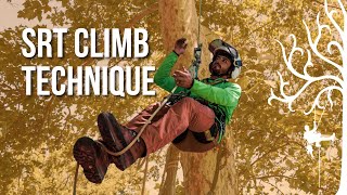 How to climb SRT  SRS  beginner tree climbing  stationary rope system  Arborist tipstricks [upl. by Yancey708]