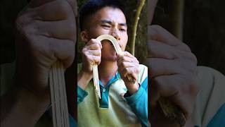 Survival skills The simplest way to pluck a beard in forest Handy tip suvival bushcraft outdoor [upl. by Luapsemaj]