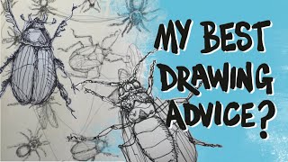 How to draw insects 4 person combo [upl. by Gil]