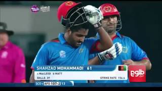 Noor Ali Zadran’s Cricket Journey  نگاهی به کارکردهای نورعلی زدران [upl. by Inacana]