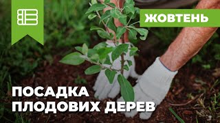 09 Посадка плодовых деревьев Октябрь [upl. by Xenos]