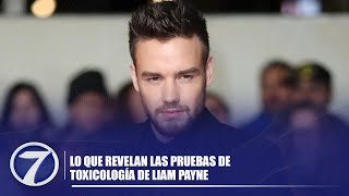 Lo que revelan las pruebas de toxicología de Liam Payne [upl. by Nevad]