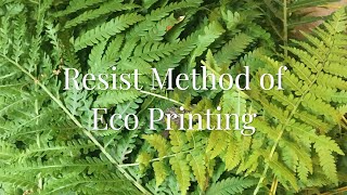 Resist Method of Eco Printing with Myrobalan [upl. by Toille831]