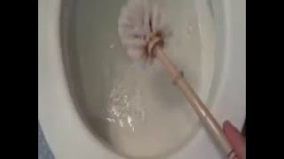 How to Clean a Toilet with Baking Soda Does this Work [upl. by Naffets187]