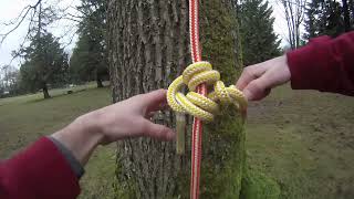 How to tie a blakes hitch for tree climbing [upl. by Anillehs]