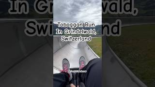 📍PFINGSTEGG TOBOGGAN RUN in Grindelwald Switzerland 🤍travel switzerland grindelwald toboggan [upl. by Nyvar]