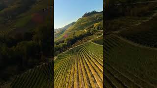 volo autunnale nelle LangheCastiglione Falletto con il mio DJI Avata 2 e la Osmo Action 5 dji [upl. by Lanod]