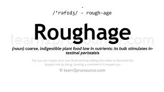 Pronunciation of Roughage  Definition of Roughage [upl. by Ahsenav]