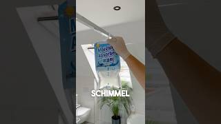 Schimmel im Altbau🦠😷 5 Tricks gegen Schimmel💨 [upl. by Grenville]